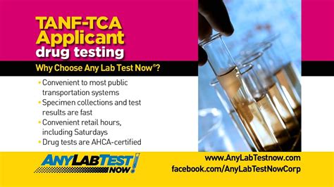 florida drug testing program